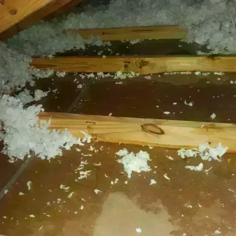 Attic Water Damage in Preston, GA