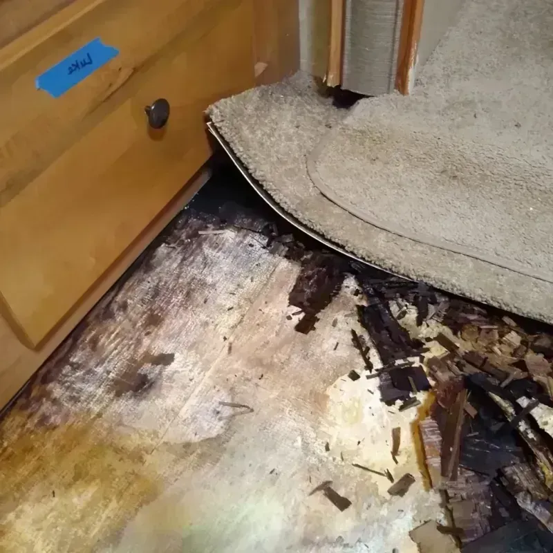 Best Wood Floor Water Damage Service in Preston, GA